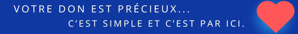 Lien vers le site helloasso pour faire un don au projet de l'écrin à l'écran sur les vitraux de la cathédrale de Chartres